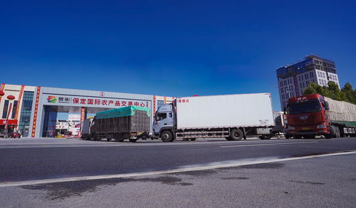 保定國際農產品交易中心為區(qū)域民生保供提供有力支撐